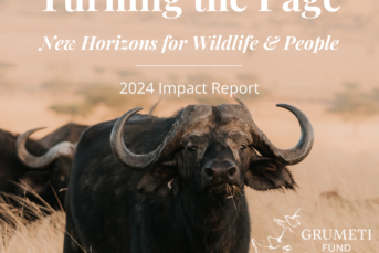 Digital-FINAL-GF-IR-2024